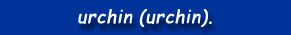 urchin (urchin).